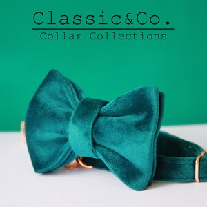 Emerald Velvet Personalized Cat& Small Dog Collar Bowtie Leash Set,Custom Engraved Kitten Puppy Name Tag,Free Gold Bell,Male Female Pet Gift image 3