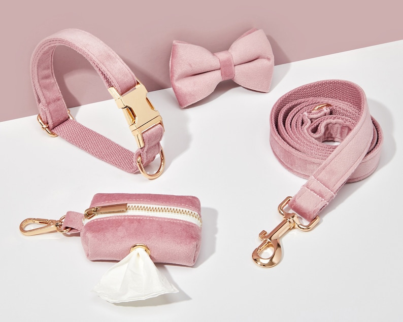 DustyPink Velvet Dog Harness and Leash Set, Personalize Step In Puppy HarnessCollarBowtiePoo Bag Holder, No Pull Wedding Harness Bundle Collar 4 Pieces Set