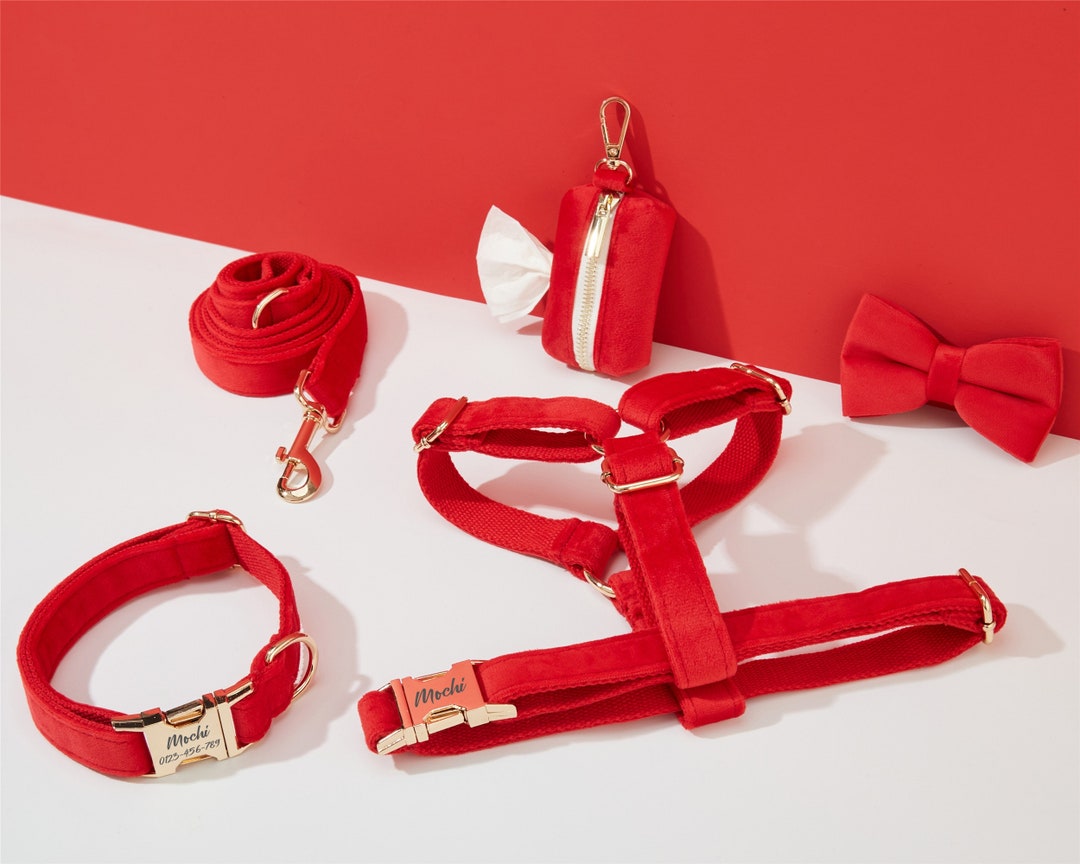 PAWCCI ROCKSTAR RED HARNESS & LEASH SET main image 1