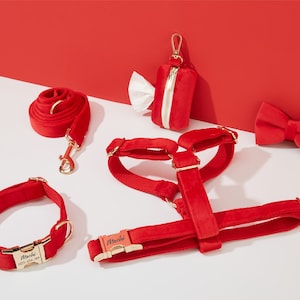 Rot Samt Geschirr und Leine Set, personalisieren Step In Welpen Geschirr + Halsband + Fliege + Poo Beutel Halter, kein Pull Hochzeit Geschirr