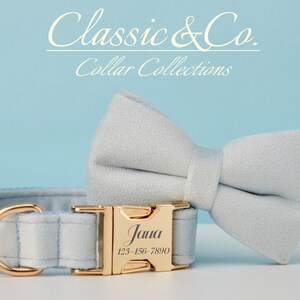 May include: Light blue dog collar with a gold buckle and a matching light blue bow tie. The buckle is engraved with the name "Jana" and a phone number.
