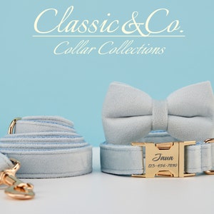 May include: Light blue velvet dog collar and matching bow tie with gold hardware. The collar has a personalized name tag that reads "Jaua" and a phone number.