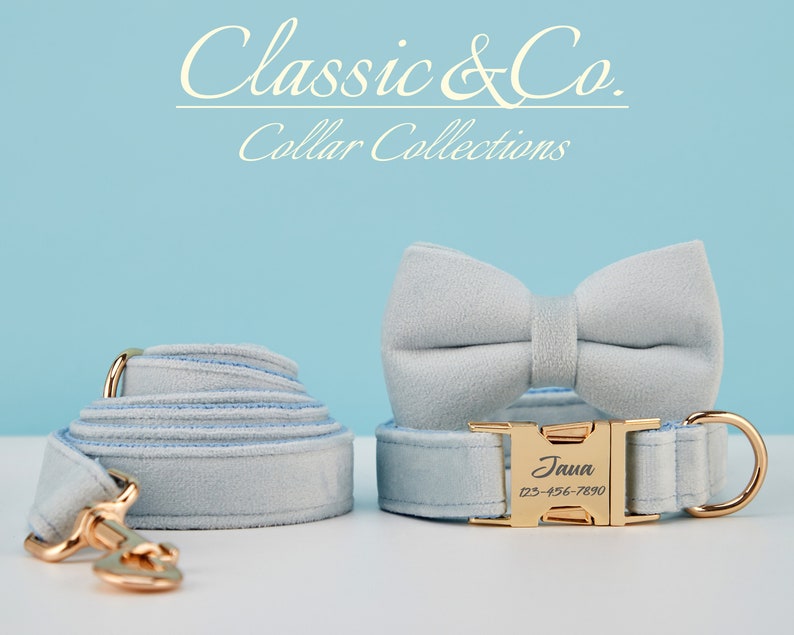 May include: Light blue velvet dog collar and matching bow tie with gold hardware. The collar has a personalized name tag that reads "Jaua" and a phone number.