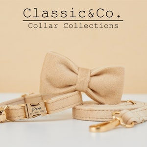 Beige Velvet Personalized Cat & Small Dog Collar Bow Tie Leash Set,Free Engraved Kitten Puppy Name Tag,Gold Bell,Pet Birthday Gift