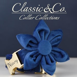 RoyalBlue Velvet Personalize Dog Collar Leash Set Flower Bow for Small Medium Large Pet,Engraved Silent Name Plate,Wedding Puppy Gift