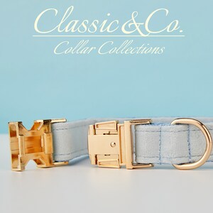 May include: A light blue dog collar with gold-toned hardware, including a buckle and a D-ring. The collar is made of a woven fabric with a subtle texture. The text "Classic & Co. Collar Collections" is visible above the collar.