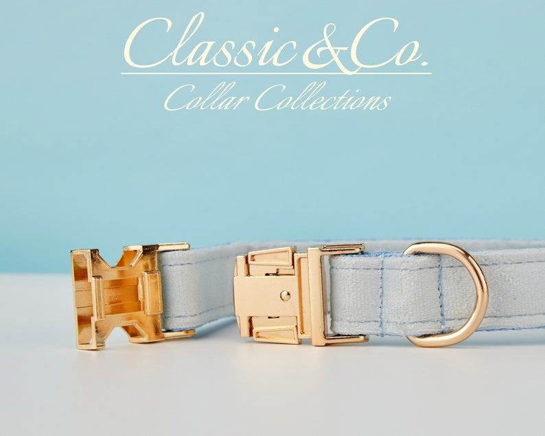 May include: A light blue dog collar with gold-toned hardware, including a buckle and a D-ring. The collar is made of a woven fabric with a subtle texture. The text "Classic & Co. Collar Collections" is visible above the collar.