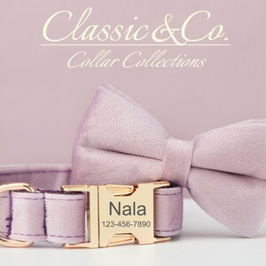May include: A light purple velvet dog collar with a gold buckle and a matching bow tie. The buckle has the name "Nala" and the phone number "123-456-7890" engraved on it.