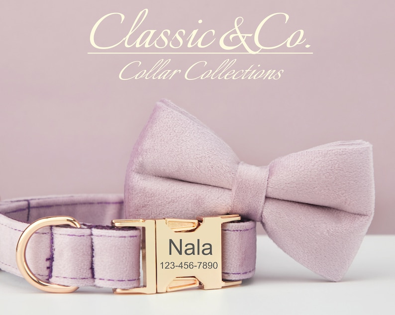 May include: A light purple velvet dog collar with a gold buckle and a matching bow tie. The buckle has the name "Nala" and the phone number "123-456-7890" engraved on it.