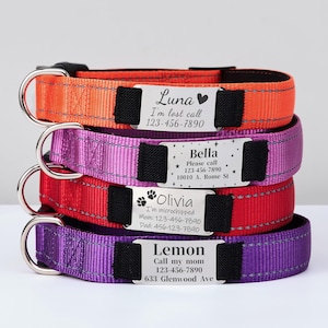 Reflective Nylon Personalized Dog Collar, Custom Pet Collar Adjustable, Engraved Name or ID Detachable Metal Tag,Silent Cat Collar Leash Set