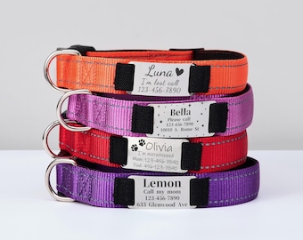 Reflective Nylon Personalized Dog Collar, Custom Pet Collar Adjustable, Engraved Name or ID Detachable Metal Tag,Silent Cat Collar Leash Set