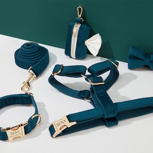 Teal Velvet Dog Harness and Leash Set, Personalize Step In Puppy Harness+Collar+Bowtie+Poo Bag Holder, No Pull Wedding Harness Bundle