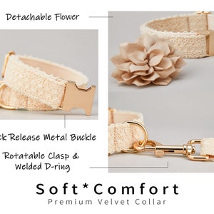 May include: A beige dog collar with a detachable flower, quick release metal buckle, rotatable clasp, and welded D-ring. The collar is made of soft, comfortable material. "Soft Comfort" and "Premium Velvet Collar" are written below the image.