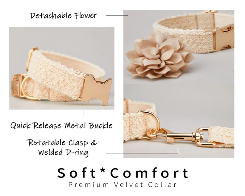 May include: A beige dog collar with a detachable flower, quick release metal buckle, rotatable clasp, and welded D-ring. The collar is made of soft, comfortable material. "Soft Comfort" and "Premium Velvet Collar" are written below the image.