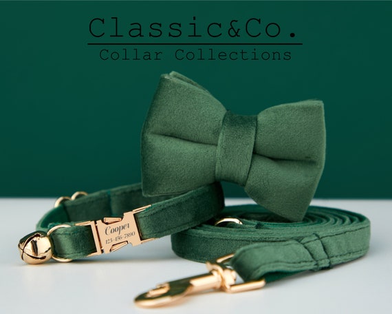 Grünes Halsband Mit Glöckchen – Weiches PU-Leder, Verstellbar Für Katzen & Kleine Hunde (XXS–M)