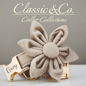 Grey Velvet Personalize Dog Collar Leash Set Flower Bow for Small Medium Large Pet,Engraved Silent Name Plate,Wedding Puppy Gift