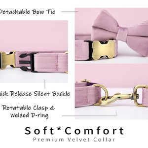 Multi-Colour Velvet Personalize Dog Collar Leash Bow Set,PurpleVioletLilac,Engraved Pet Name Bone Shape Silent Buckle,Wedding Puppy Gift image 5