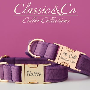 Purple Velvet Personalize Dog Collar Leash Set with Flower & Bow Tie for Male Female Pet,Gold Engraved Name Tag,Wedding Puppy Gift