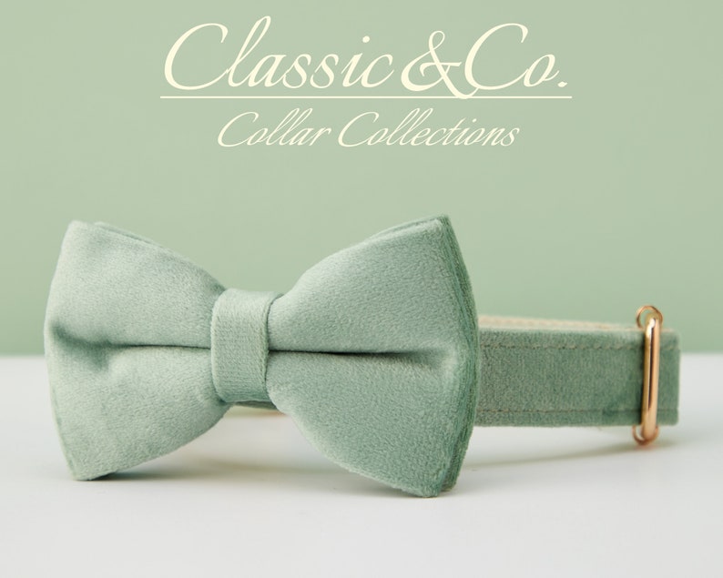 Dog Collar Bow Tie Lead,Handmade Boy Dog Bow Tie Collars,SageGreen Velvet Collar With Engraved Name image 4