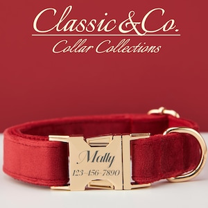 Personalized Dog Collar With Engraved Pet Name Metal Buckle,Burgundy Velvet Dog Collar and Leash Set with Bell And Bow,FREE Shipping