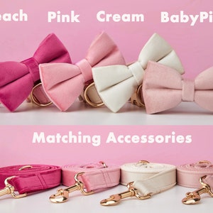 Multiple Colour Velvet Personalise Dog Collar Leash Set with Bow,PinkRoseIvoryPeach,Engraved Pet Name Tag Metal Buckle,Wedding Puppy Gift image 4