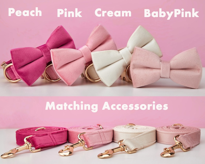 Multiple Colour Velvet Personalise Dog Collar Leash Set with Bow,PinkRoseIvoryPeach,Engraved Pet Name Tag Metal Buckle,Wedding Puppy Gift image 4