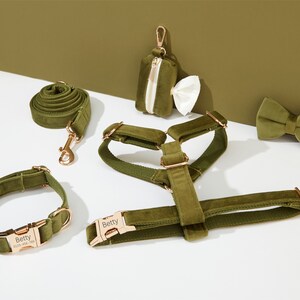 May include: A green velvet dog harness, leash, collar, and bow tie set with gold hardware. The collar has the name "Betty" and a phone number engraved on the buckle. The poop bag holder is also green velvet with a gold zipper.