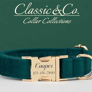 Personalized Dog Collar With Engraved Pet Name Metal Buckle,Teal Velvet Dog Collar and Leash Set with Bell And Bow,FREE Shipping