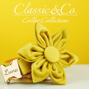 Yellow Velvet Personalize Dog Collar Leash Set Flower Bow for Small Medium Large Pet,Engraved Silent Name Plate,Wedding Puppy Gift
