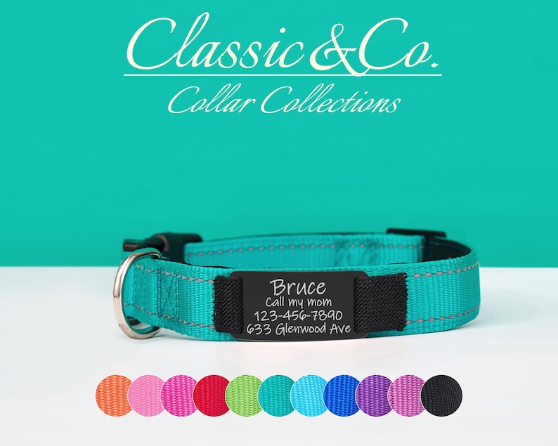 Puede incluir: Un collar de perro turquesa con una etiqueta personalizada negra que dice "Bruce, Llama a mi mam&aacute;, 123-456-7890, 633 Glenwood Ave". El collar tiene una hebilla plateada y una tira reflectante. El collar se muestra sobre un fondo turquesa.