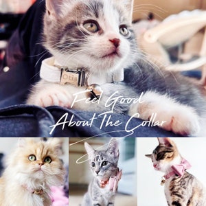 May include: Three cats wearing different collars. The first cat is a grey and white tabby with a white collar with a silver bell and a name tag that says "Otis". The second cat is a grey tabby with a pink bow tie and a silver bell. The third cat is a brown tabby with a pink bow tie and a silver bell.