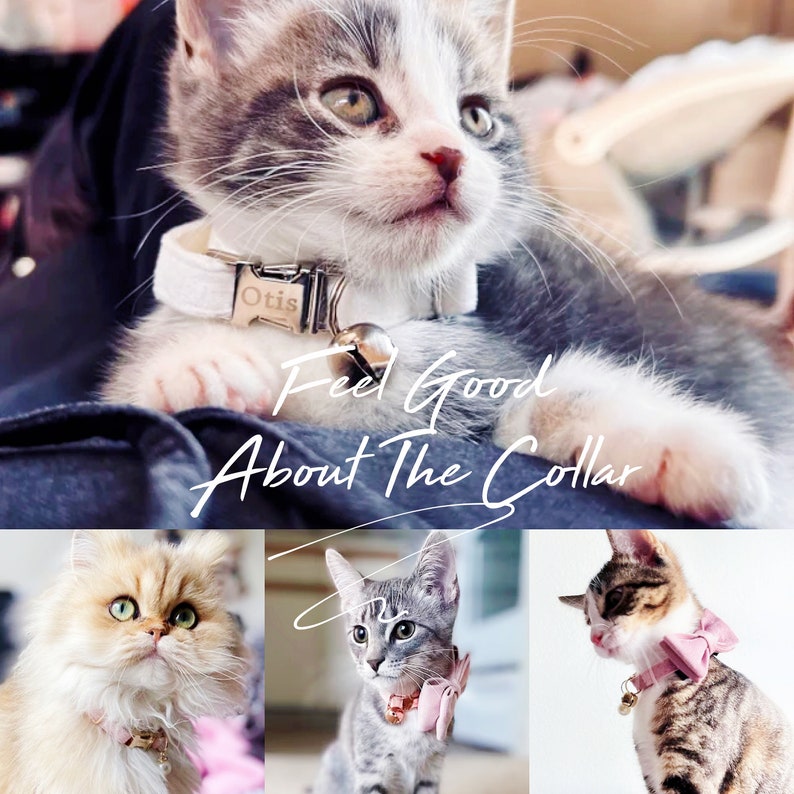 May include: Three cats wearing different collars. The first cat is a grey and white tabby with a white collar with a silver bell and a name tag that says "Otis". The second cat is a grey tabby with a pink bow tie and a silver bell. The third cat is a brown tabby with a pink bow tie and a silver bell.