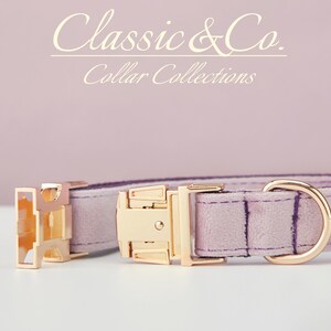 May include: A light purple velvet dog collar with gold-tone hardware, including a buckle, D-ring, and a slide-on buckle. The collar features the text "Classic & Co. Collar Collections".