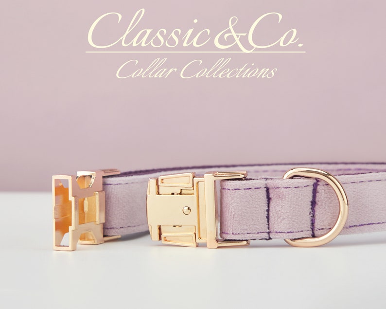 May include: A light purple velvet dog collar with gold-tone hardware, including a buckle, D-ring, and a slide-on buckle. The collar features the text "Classic & Co. Collar Collections".