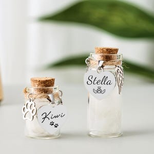 Barattolo porta-peli per animali domestici, bottiglia commemorativa personalizzata per cane o gatto, targhetta con nome personalizzata, regalo per la perdita di un animale domestico, barattolo Rainbow Bridge, mini urna in vetro per pelo