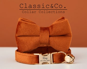 Collare Per Gatti Personalizzati Collare Gatto Personalizzato - Con Nome Ricamato, Campana, Regolabile Collari Personalizzati Per Gatti - Foto 6