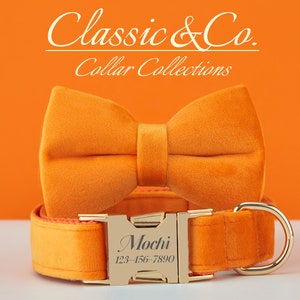 Collar de perro colorido con pajarita y correa, collar naranja para perro, collar para niña con pajarita y correa, placa personalizada con nombre.