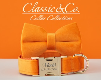 Set colorato di collare e guinzaglio con papillon, collare arancione per cani, collare per cagnolina con papillon e guinzaglio con targhetta personalizzata.