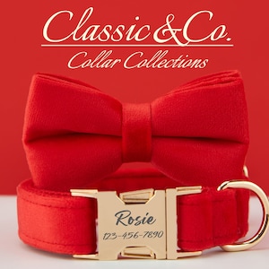 Personalized Red Velvet Dog Collar With Bow Tie and Lead Persnalised NamePlate,Girl Dog Collar