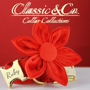 Può includere: Collare per cani in velluto rosso con un grande fiore in velluto rosso e una fibbia dorata. La fibbia ha il nome "Ruby" inciso. Classic & Co. Collar Collections.