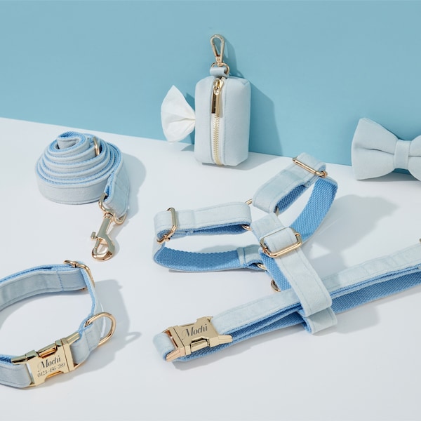 Dog Harness and Collar Bundle Etsy