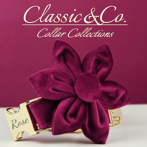 May include: Burgundy velvet dog collar with a gold buckle and a large burgundy velvet flower. The collar is personalised with the name "Rose".