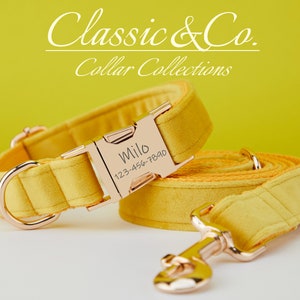 Yellow Velvet Personalized Dog Collar Bow Tie Leash Set,Custom Engraved Pet Name Metal Buckle,Orange Wedding Puppy Neckwear,FREE Shipping