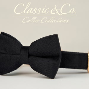 Black Velvet Boy Dog Collar Bow Tie Lead,Metal Buckle,Dog Collar With Engraved Pet Name Metal Buckle image 4
