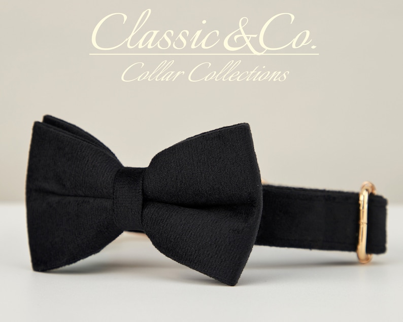 Black Velvet Boy Dog Collar Bow Tie Lead,Metal Buckle,Dog Collar With Engraved Pet Name Metal Buckle image 4