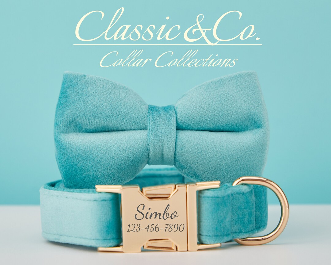 Dog Collar Bow Tie Lead,turquoise Velvet Girl Boy Collar With Engraved