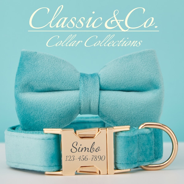 Dog Collar Bow Tie Lead,Turquoise Velvet Girl Boy Collar With Engraved Name Metal Buckle,Puppy Collar and Lead