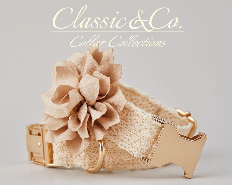 May include: A beige dog collar with a gold buckle and a large beige fabric flower accent. The collar is made of lace and has a gold D-ring. The collar is labeled "Classic & Co. Collar Collections".