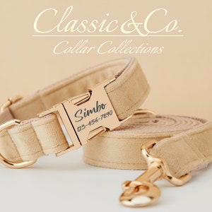 Beige Velvet Personalized Dog Collar Bow Tie Leash Set ForMale Boy,Custom Engraved Pet Name Metal Buckle,Wedding Puppy Gift,FREE Shipping