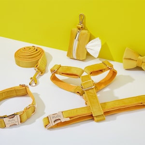 May include: A yellow velvet dog harness, lead, collar and poop bag holder with gold hardware. The collar and lead have the name "Wally" and a phone number engraved on the buckle. The poop bag holder has a zipper closure. The bow tie is also yellow velvet.